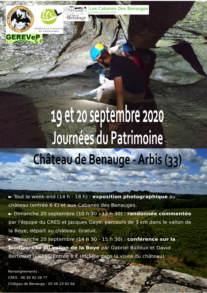 Affiche benauge 2020